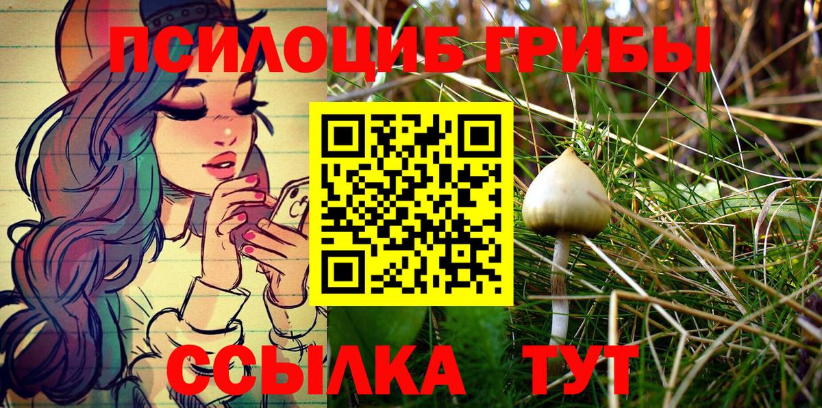 Псилоцибиновые грибы Magic Shrooms  Вход с VPN  Сергиев Посад 
